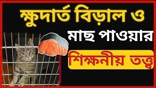 থর্নডাইকের শিখন তত্ত্ব ।।Trial and error learning theory of Thorndyke in bengali। Educational video [upl. by Attenoj227]