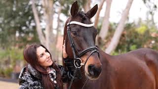 Phenomenal Prix St George I1 Dressage Horse [upl. by Lebasy]