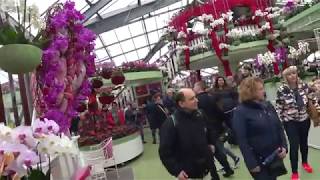 Keukenhof Beatrix Pavillon Orchideen Ausstellung [upl. by Paule]