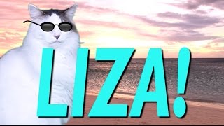 HAPPY BIRTHDAY LIZA  EPIC CAT Happy Birthday Song [upl. by Moffit]