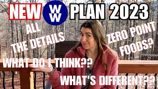 NEW WW Weight Watchers Plan for 2023 WW PointsWW Plan ALL the DETAILS and My HONEST Opinion😮🤯 [upl. by Rydder]