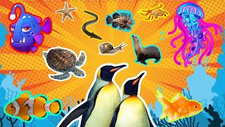 Learn Easy ENGLISH SEA ANIMALS for Kids [upl. by Leuneb424]