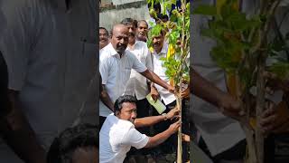 அமைச்சர் மாசுப்பிரமணியன் கிண்டி லயன்ஸ் கிளப் பள்ளியில் மரக்கன்று நட்டார் [upl. by Nerb]