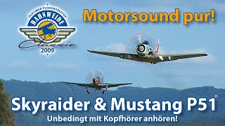 Skyraider amp Mustang P51 [upl. by Halbert]