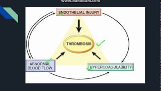 Thrombosis [upl. by Sad]