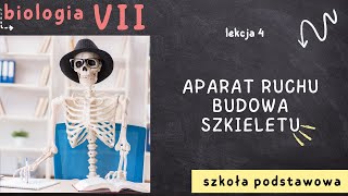 Biologia 7 Lekcja 4  Aparat ruchu Budowa szkieletu [upl. by Roselani]