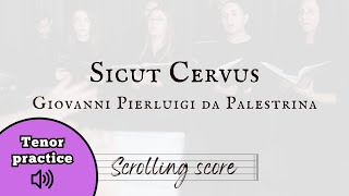 Sicut Cervus  Palestrina  Tenor practice with score [upl. by Gardel194]