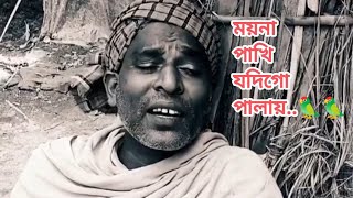 ফাক পাইলে সেই ময়না পাখি যদিগো পালায়। কষ্টের গান। মায়া ভরা সেই গান। [upl. by Nissy]