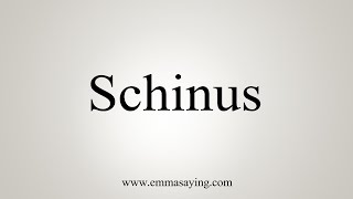 How To Say Schinus [upl. by Airetnohs]