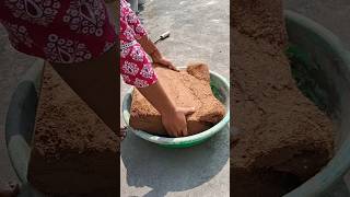 5 kg cocopeat block cocopeat shorts gardening How to use cocopeat brick vegetables [upl. by Aikemat]