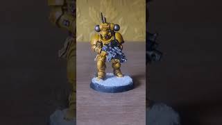 This is my Warhammer 40k Imperial Fist Primaris Reivers Painted that I bought on eBay [upl. by Stephan]