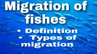 Migration of fishes [upl. by Haraj987]