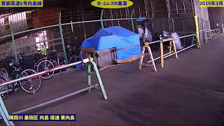 【転載動画】高速道路に住むホームレス Japans Homeless live under the highwayMarch 2019 [upl. by Alper]