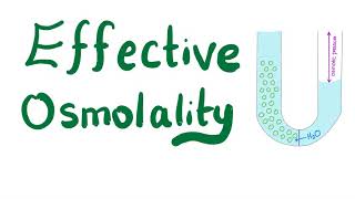 Effective Osmolality [upl. by Ichabod]