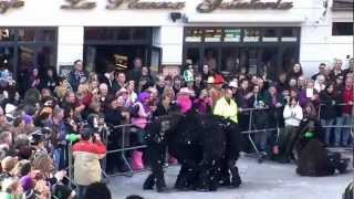 Herrenberg Fasnet 2011mp4 [upl. by Atnoed]