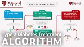 The ADA Type 2 Diabetes Management Algorithm [upl. by Araeic183]