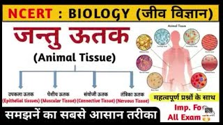 जंतु ऊतक। Animal tissue in hindi । jantu utak । Biology ।competition only । महत्वपूर्ण ऊतक [upl. by Joshua732]