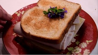 Turkey amp Swiss Sandwich With Chickweed amp Violet Flowers  Wild Edible Recipes [upl. by Moe]