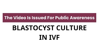 Blastocyst Culture in IVF Benefits and Drawbacks know it from 𝐃𝐫 𝐒𝐮𝐩𝐚𝐫𝐧𝐚 𝐁𝐚𝐧𝐞𝐫𝐣𝐞𝐞 [upl. by Lela]