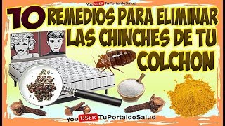 10 Remedios Para Eliminar las Chinches del Colchón  Como Eliminar las Chinches de tu Cama ✅ [upl. by Aemat]