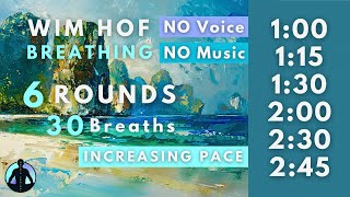 WIM HOF Guided Breathing  30 Breaths 6 Rounds Increasing Pace  To 245min No Voice No Music [upl. by Peale]