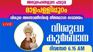 24 JUNE 2024  HOLY MASS  ST ANTONY PILGRIM CHURCH MALAPALLIPURAM [upl. by Siva]