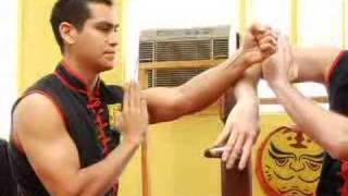 Wing Chun Deflections and Attacks  Trapping [upl. by Ardnaik]