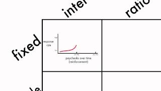 Learning Schedules of Reinforcement [upl. by Ahsiloc]