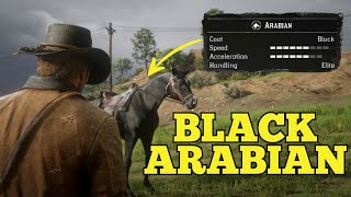 Get this rare Arabian right now  RDR2 [upl. by Rakso]