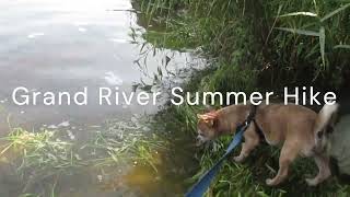 Summer Hikes Beautiful Grand River [upl. by Fabyola]