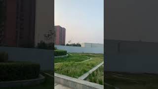 HCL park Lucknow cover music atifaslam ytshorts youtubeshorts shorts lucknow hcltech [upl. by Tepper646]