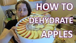 Dehydrating Apples  Quick and Easy Snack  Fermented Homestead [upl. by Vanhook950]