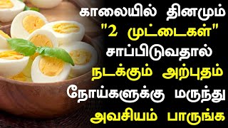 முட்டை மருத்துவ நன்மைகள்  Eggs Health Benefits in Tamil Egg Health Tips in Tamil Tamil News [upl. by Hbaruas280]