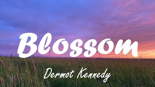 Dermot Kennedy  Blossom lyrics [upl. by Suzy]