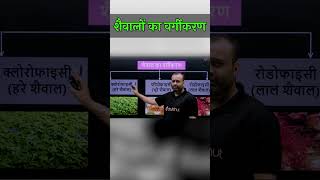 शैवालों का वर्गीकरण  Classification of Algae  Parth Sir neet2024strategy [upl. by Westney666]