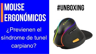 Mouse Ergonómicos funciones y características [upl. by Retsehc]