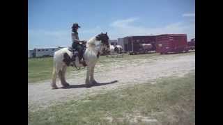 Gypsy Horse at Throwaway Ponies Poker Ride  Lake Lavon [upl. by Cantu]