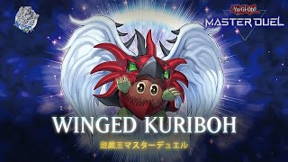 Winged Kuriboh  Winged Kuriboh LV6  The Masters Saga YuGiOh Master Duel [upl. by Jacques]