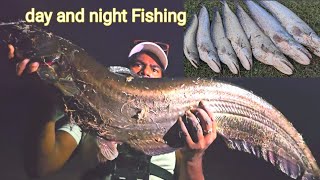 Day and night Fishing  Big Wallago Attu catfish hunting Video  Rohu macli Video  Murrel Fishing [upl. by Lorie]