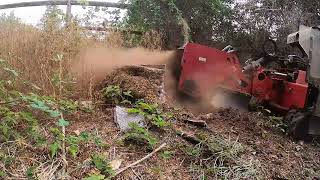 Grinding a Black Walnut Stump with timelapse [upl. by Baal]