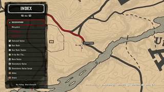 Red Dead Redemption 2 Online  Daily Challenges  Pheasants Kills [upl. by Masera]