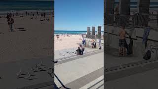 Surfers Paradise Beach 🏖️ Gold Coast Australia 🇦🇺 [upl. by Bonnell897]