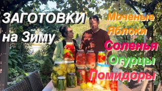 ЗАГОТОВКИ на ЗИМУ🍏Моченые Яблоки и Помидоры в Снегу🍅 [upl. by Thordia48]