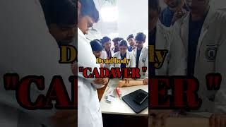 The value of dead bodies in medical Education aiimsdeoghar anatomy shorts dh neet [upl. by Leik]