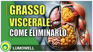 Grasso Viscerale Come Eliminarlo [upl. by Boser]