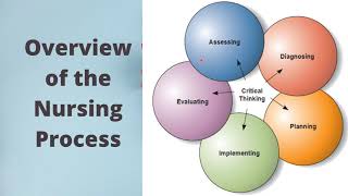 Overview of the Nursing Process [upl. by Florella]