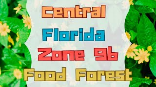 FOOD FOREST TOUR CENTRAL FLORIDA ZONE 9b [upl. by Annaerb]