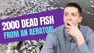 2000 Dead Fish From A Pond Aerator  Right After Installation [upl. by Acira]