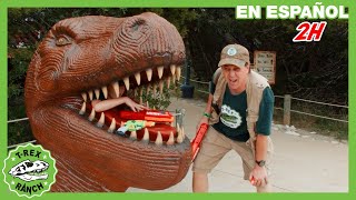 Museo de dinosaurios 🏛️🦖  Videos de dinosaurios y juguetes para niños [upl. by Pincas]