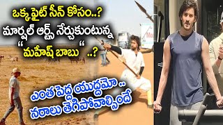 Mahesh Babu Marshal Arts Training for SS Rajamouli Film  ssmb29update rajamouli maheshbabu [upl. by Arley]